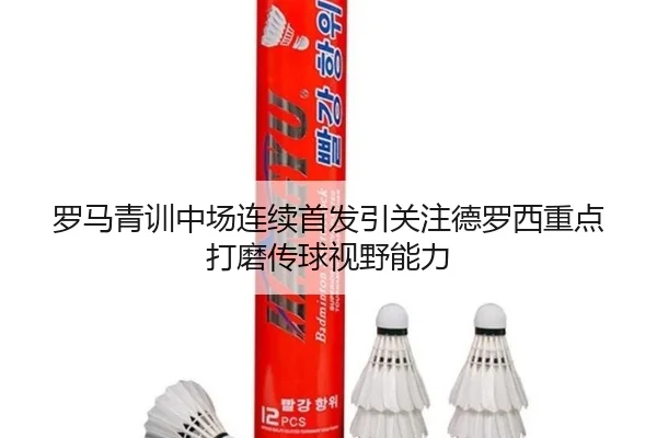 罗马青训中场连续首发引关注德罗西重点打磨传球视野能力