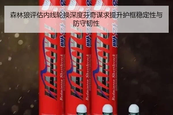 森林狼评估内线轮换深度芬奇谋求提升护框稳定性与防守韧性